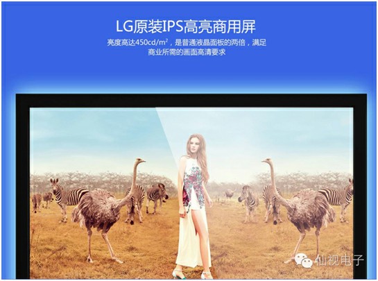 图片加载失败，请刷新页面